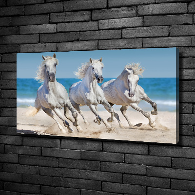 Tableau imprimé sur toile Plage de chevaux blancs