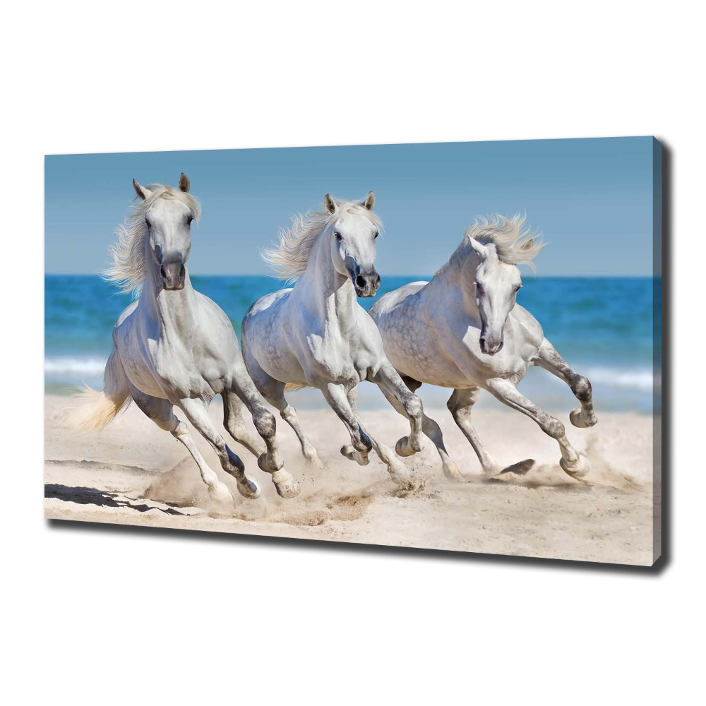 Tableau imprimé sur toile Plage de chevaux blancs