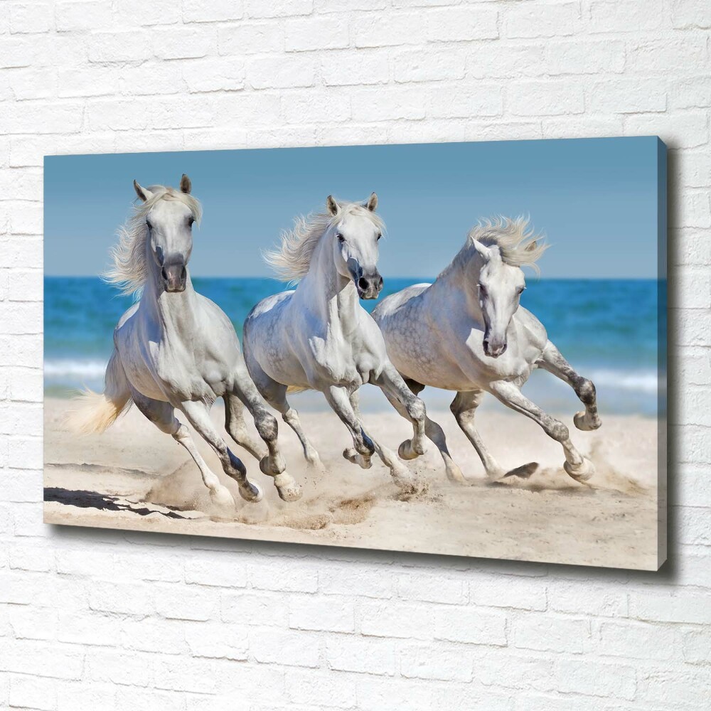 Tableau imprimé sur toile Plage de chevaux blancs