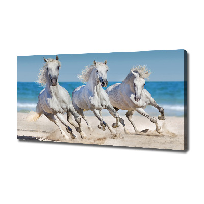 Tableau imprimé sur toile Plage de chevaux blancs