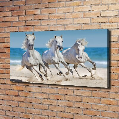 Tableau imprimé sur toile Plage de chevaux blancs