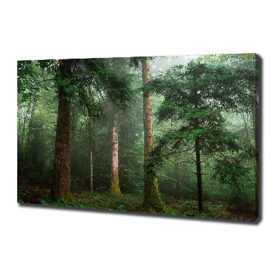 Tableau mural sur toile Brume dans la forêt