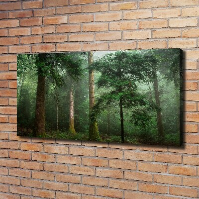 Tableau mural sur toile Brume dans la forêt