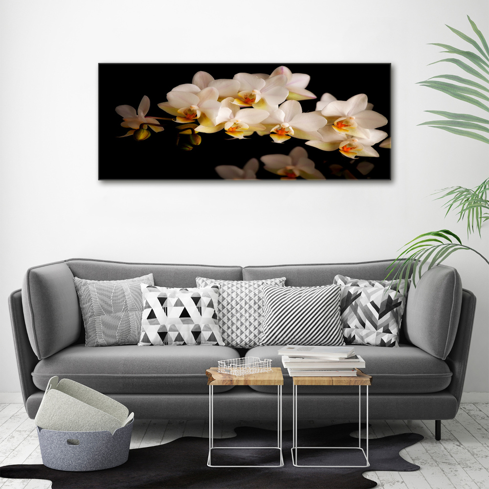 Tableau sur toile Orchidée plante