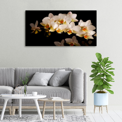 Tableau sur toile Orchidée plante