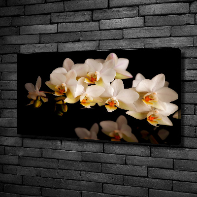 Tableau sur toile Orchidée plante