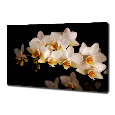 Tableau sur toile Orchidée plante