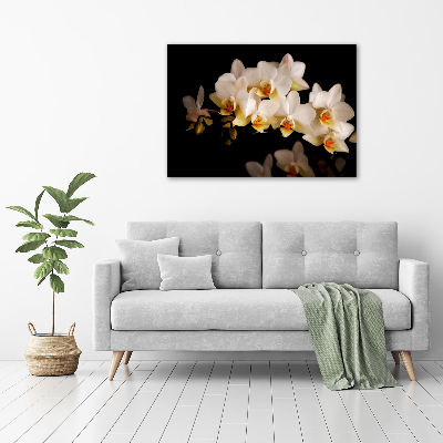 Tableau sur toile Orchidée plante