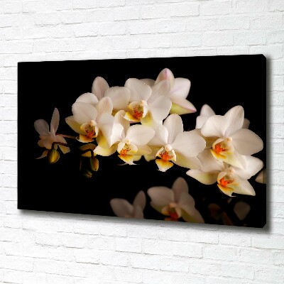 Tableau sur toile Orchidée plante