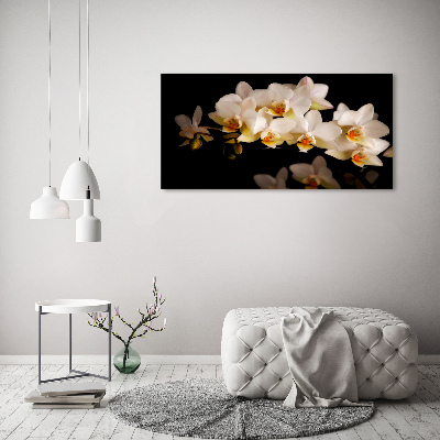 Tableau sur toile Orchidée plante