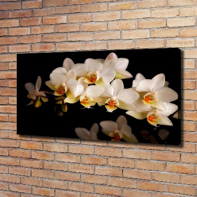 Tableau sur toile Orchidée plante