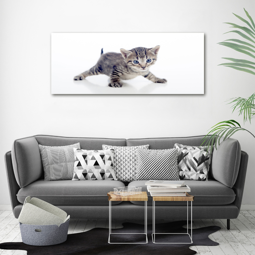 Tableau sur toile Petit chat