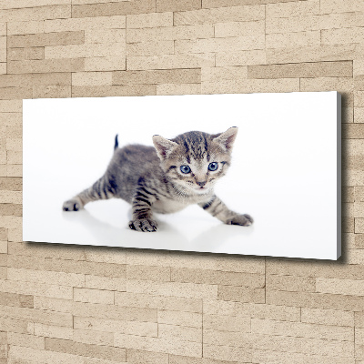 Tableau sur toile Petit chat