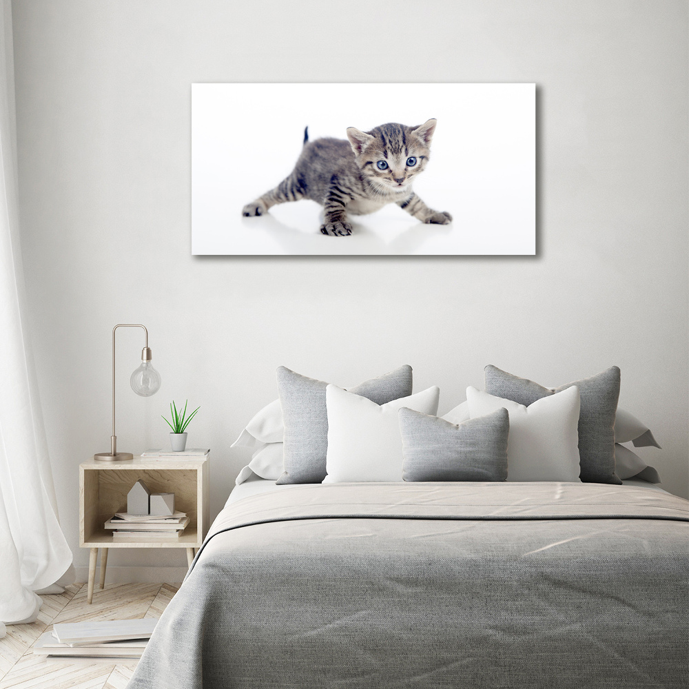 Tableau sur toile Petit chat