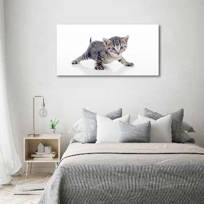 Tableau sur toile Petit chat