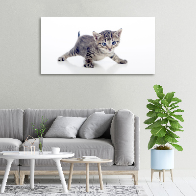 Tableau sur toile Petit chat