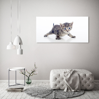 Tableau sur toile Petit chat