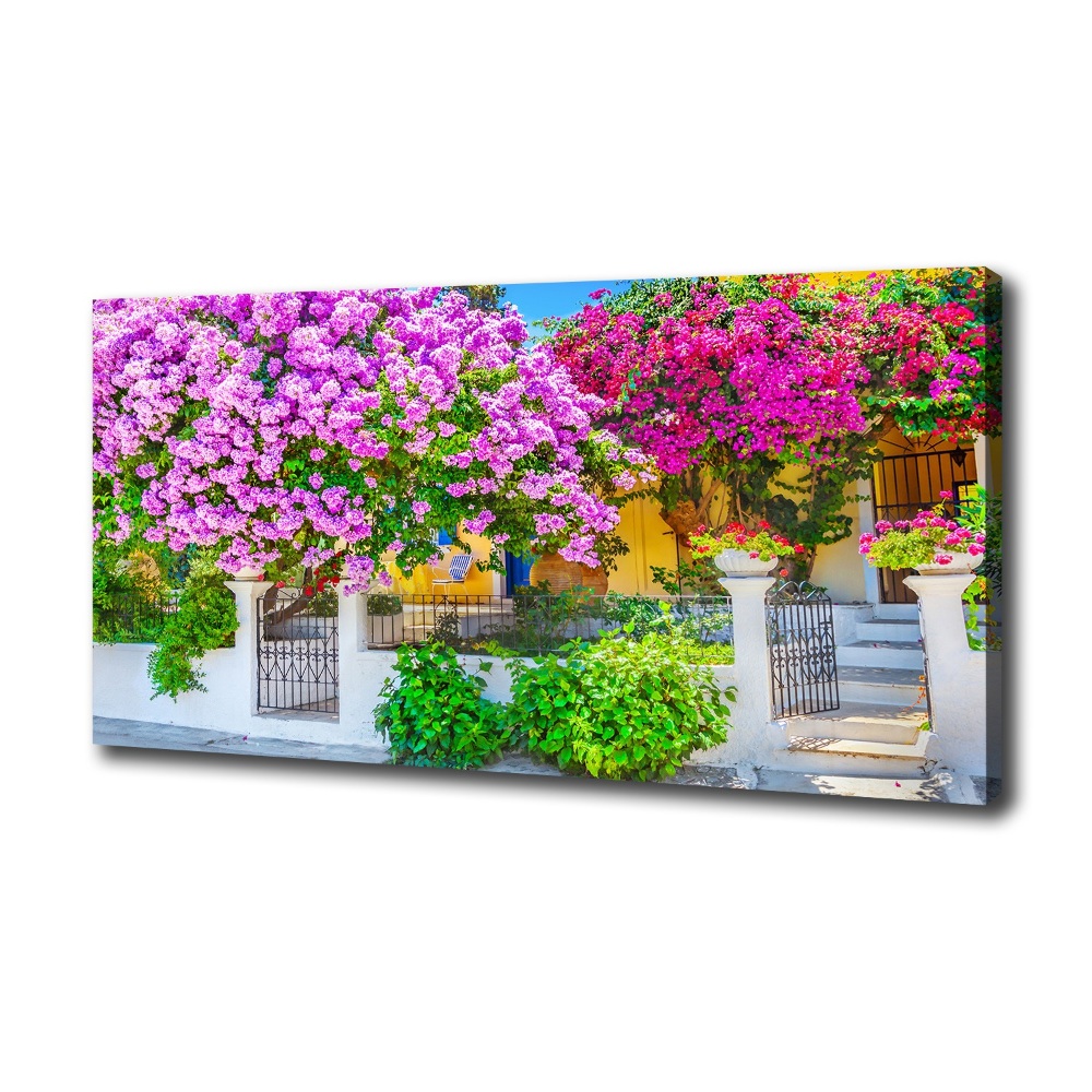 Tableau mural sur toile Maison avec bougainvilliers