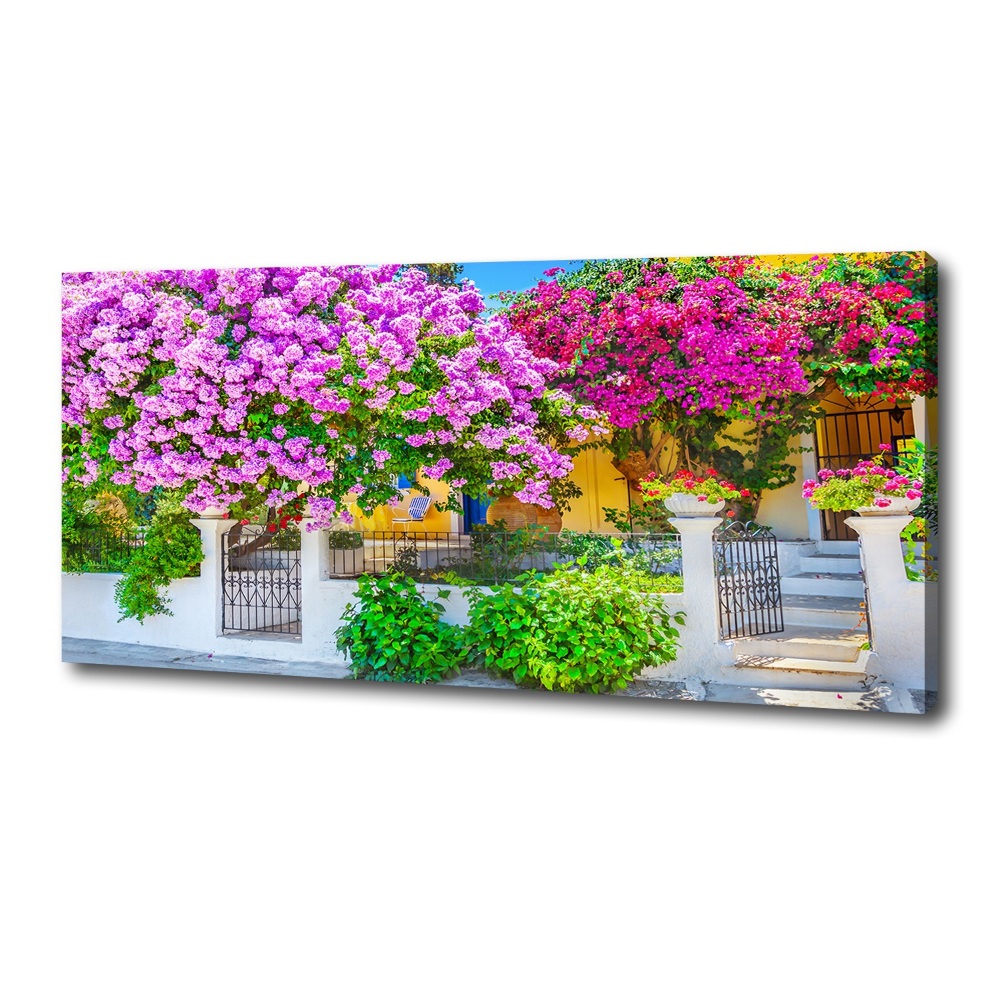 Tableau mural sur toile Maison avec bougainvilliers