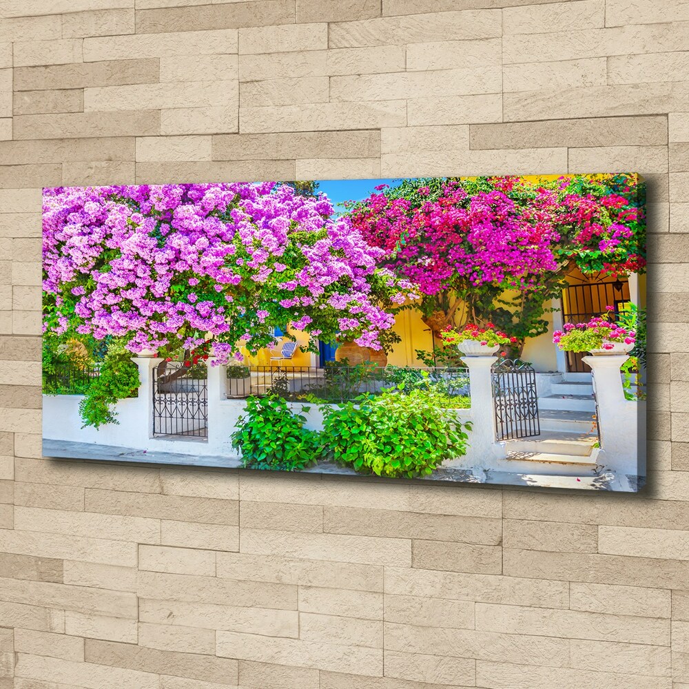 Tableau mural sur toile Maison avec bougainvilliers