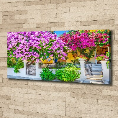 Tableau mural sur toile Maison avec bougainvilliers