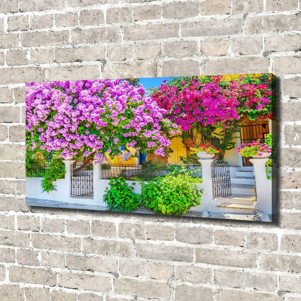 Tableau mural sur toile Maison avec bougainvilliers