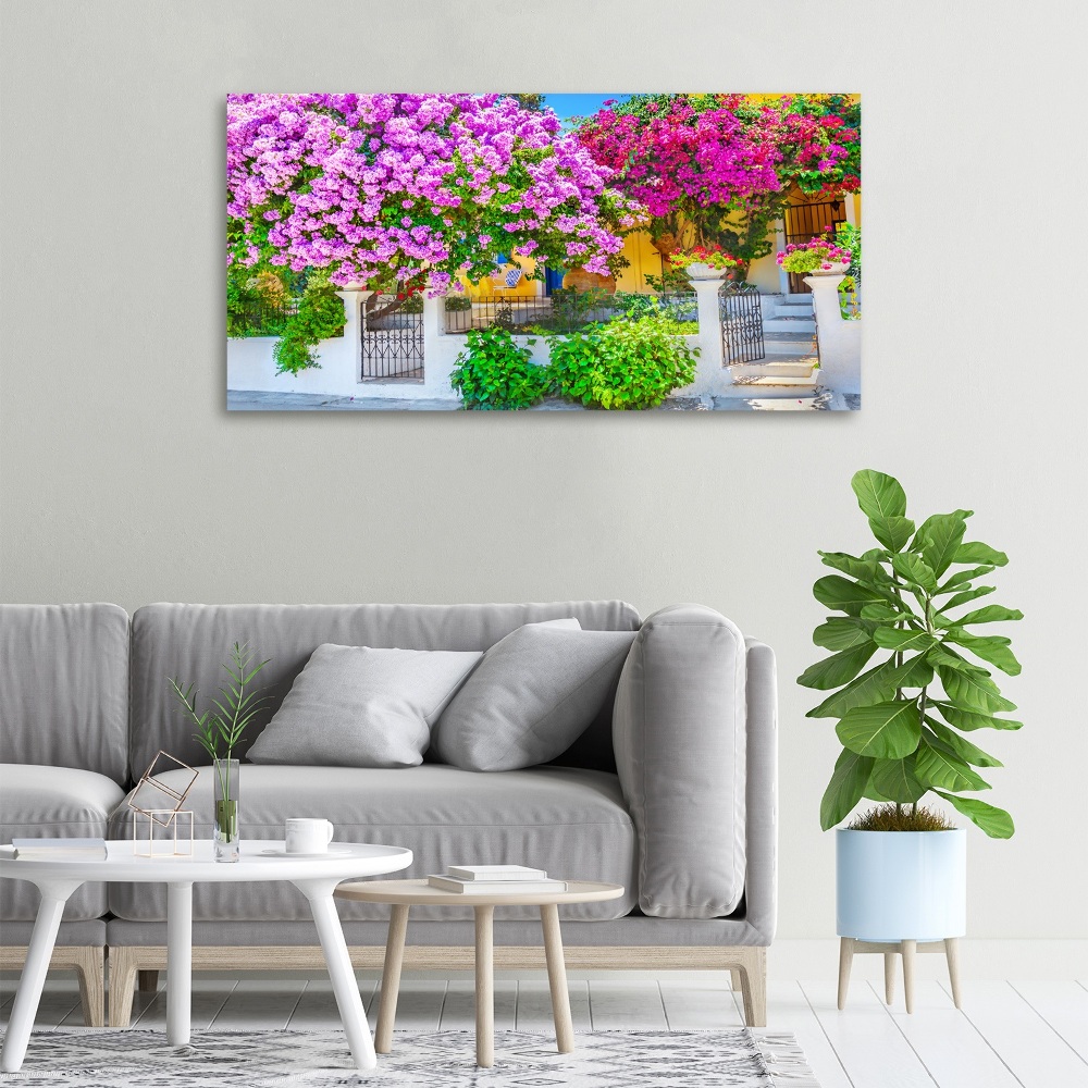 Tableau mural sur toile Maison avec bougainvilliers