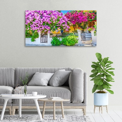 Tableau mural sur toile Maison avec bougainvilliers