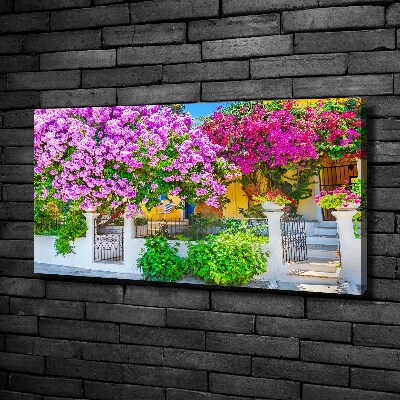 Tableau mural sur toile Maison avec bougainvilliers