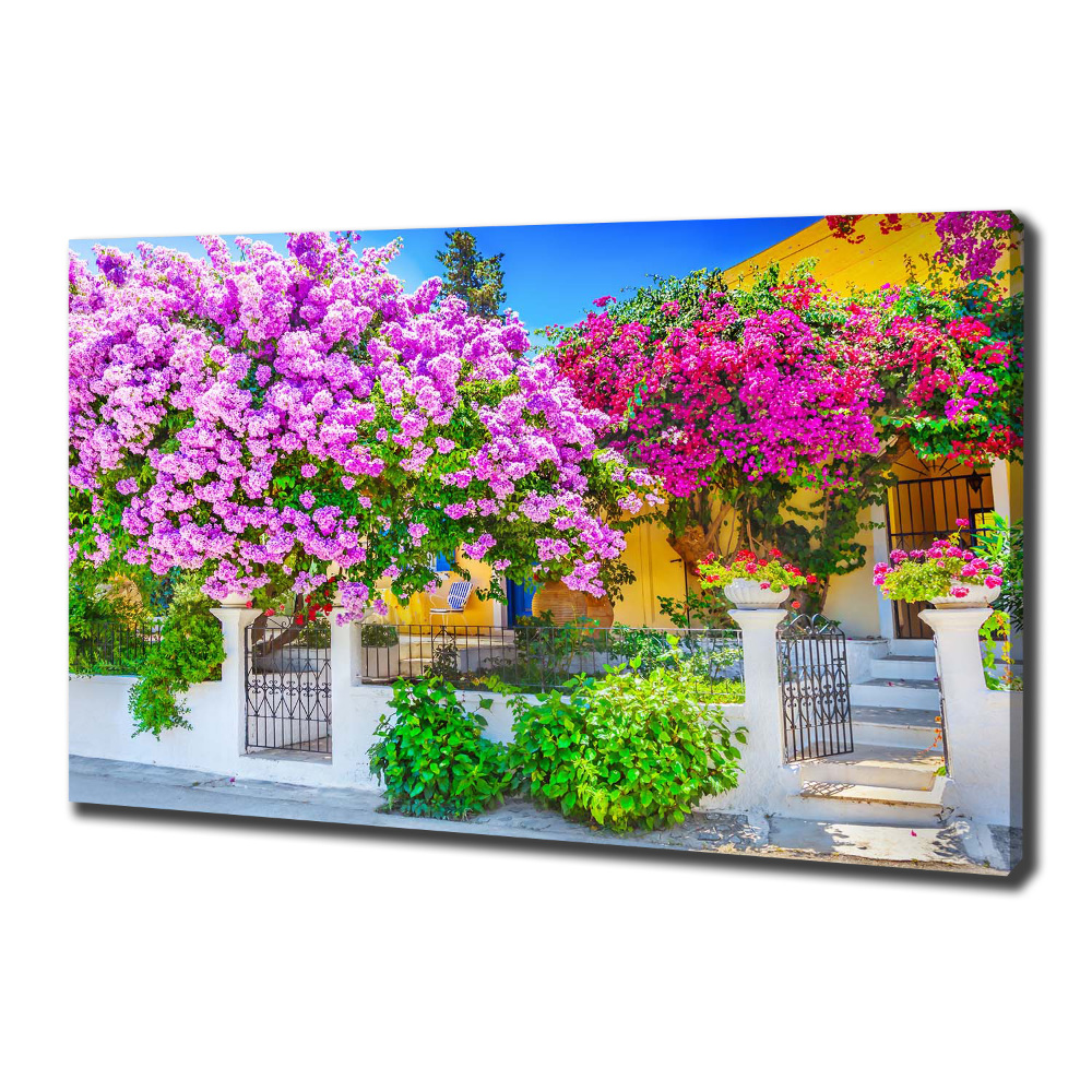 Tableau mural sur toile Maison avec bougainvilliers