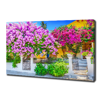 Tableau mural sur toile Maison avec bougainvilliers