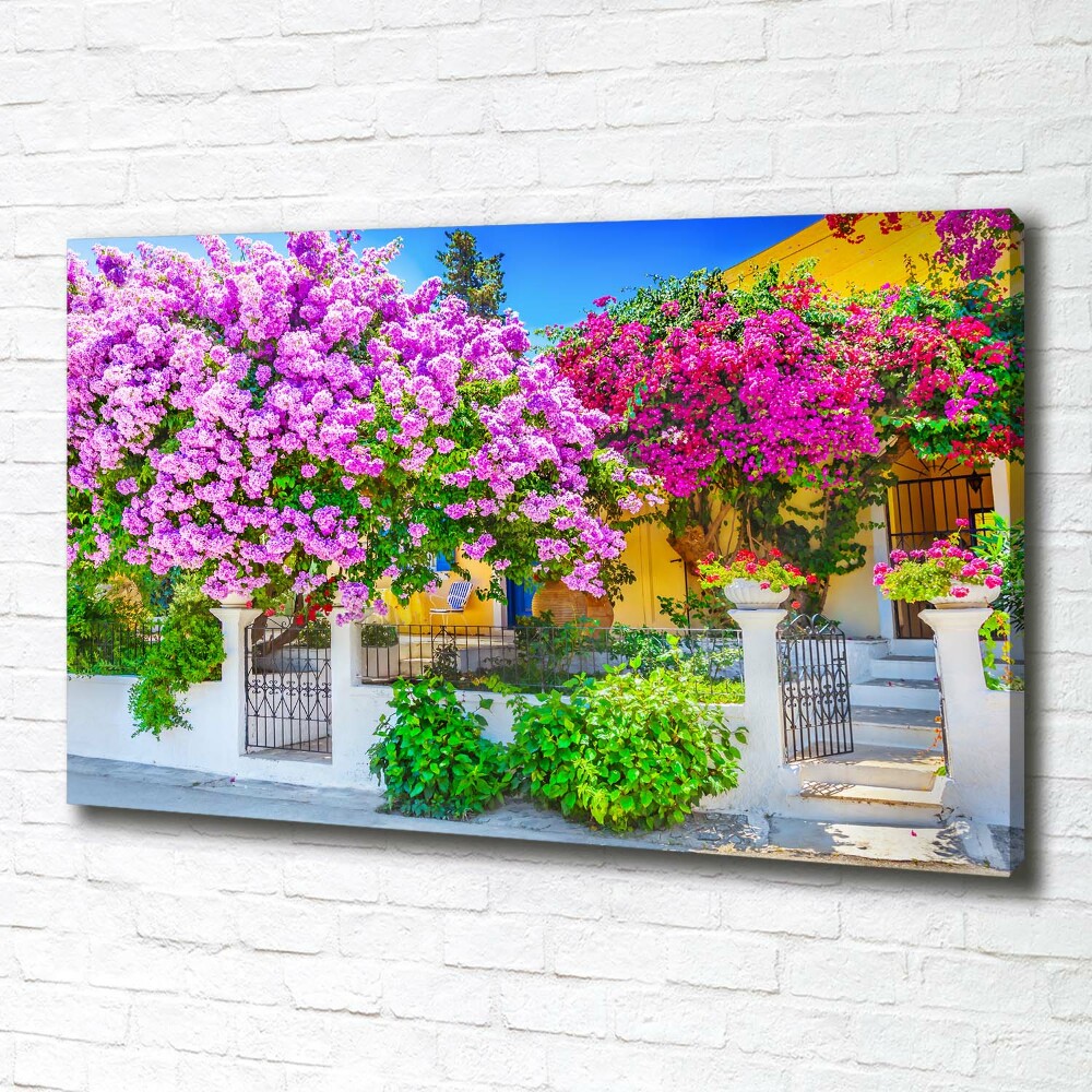 Tableau mural sur toile Maison avec bougainvilliers