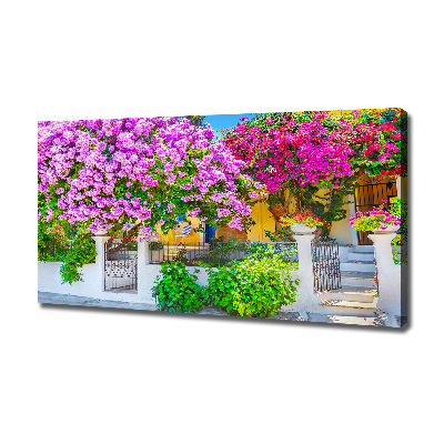 Tableau mural sur toile Maison avec bougainvilliers