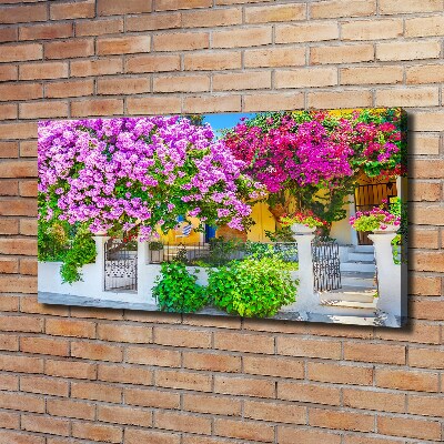 Tableau mural sur toile Maison avec bougainvilliers