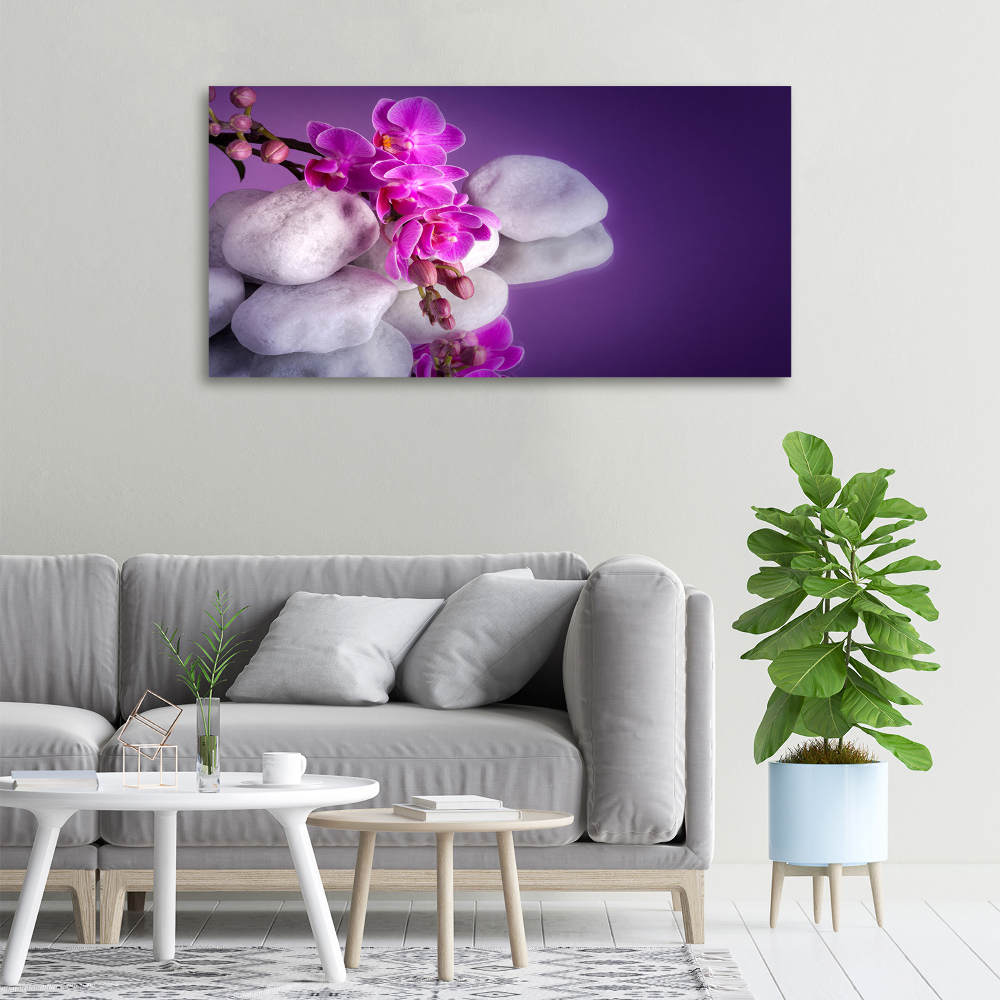 Tableau imprimé sur toile Plante d'orchidée