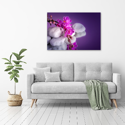 Tableau imprimé sur toile Plante d'orchidée