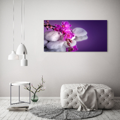 Tableau imprimé sur toile Plante d'orchidée