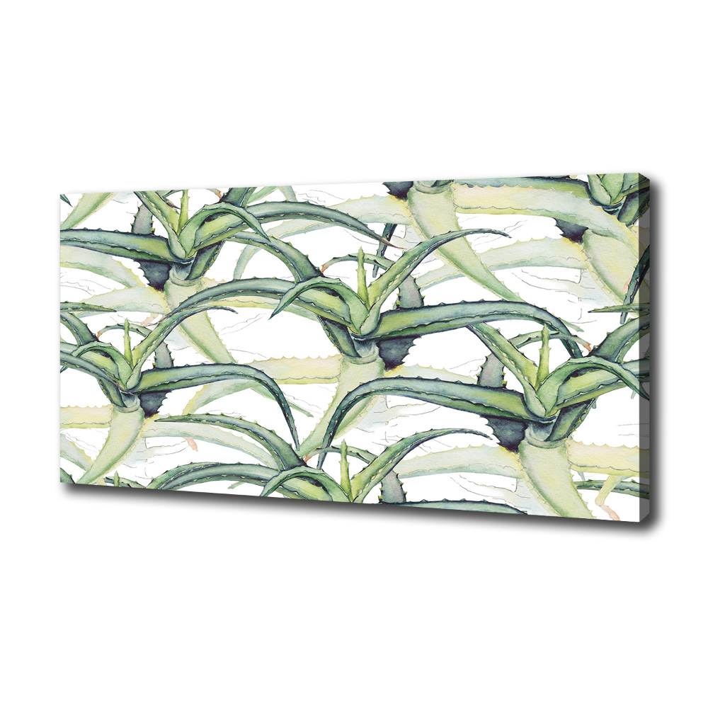 Tableau photo sur toile Aloe vera