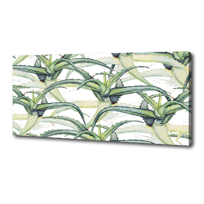 Tableau photo sur toile Aloe vera