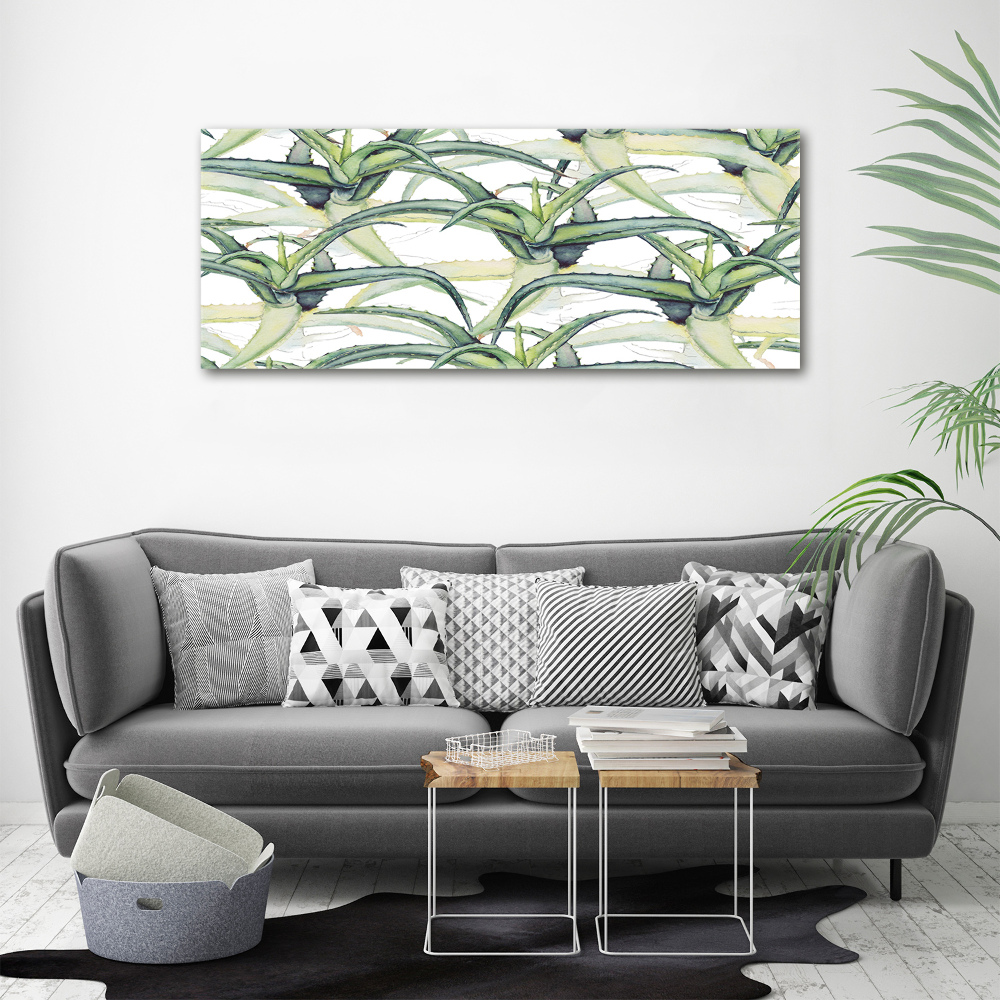 Tableau photo sur toile Aloe vera