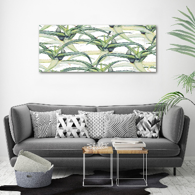 Tableau photo sur toile Aloe vera