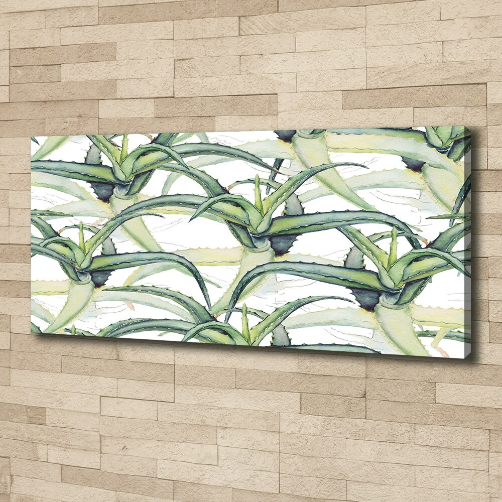 Tableau photo sur toile Aloe vera