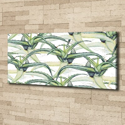 Tableau photo sur toile Aloe vera