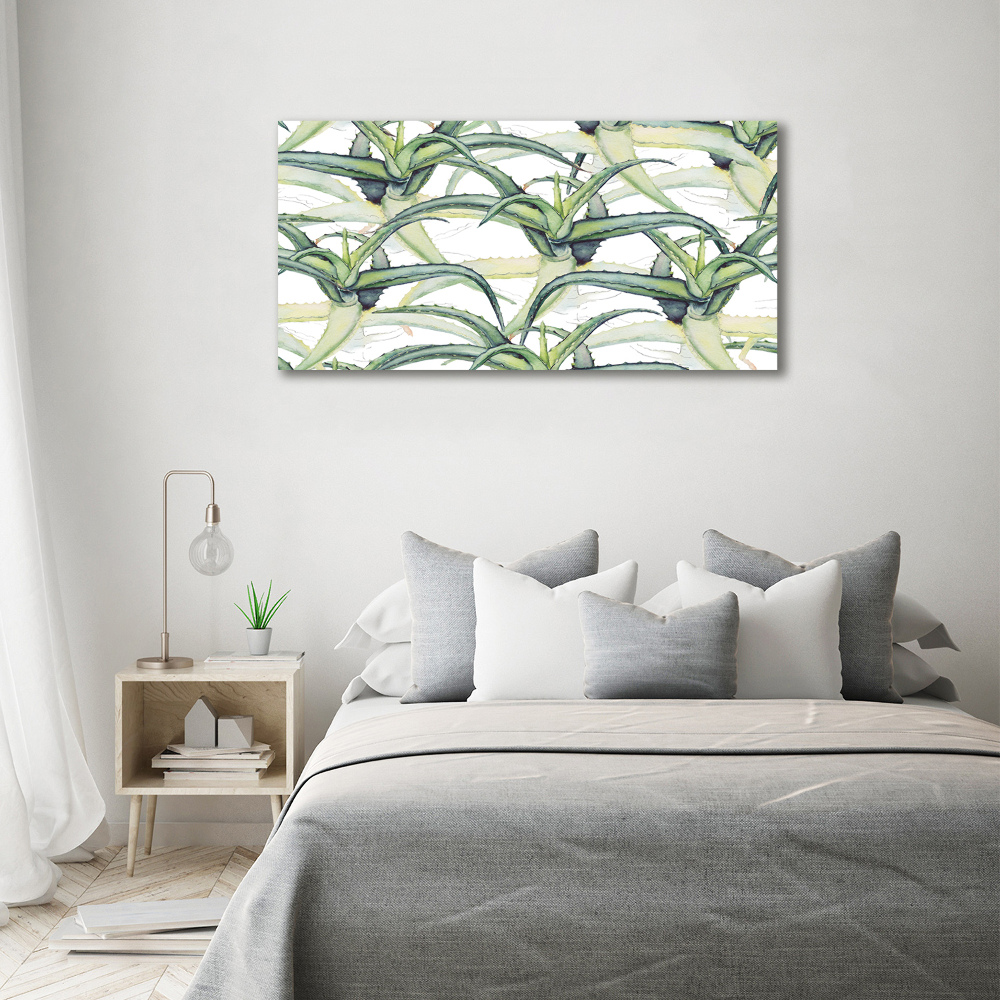 Tableau photo sur toile Aloe vera