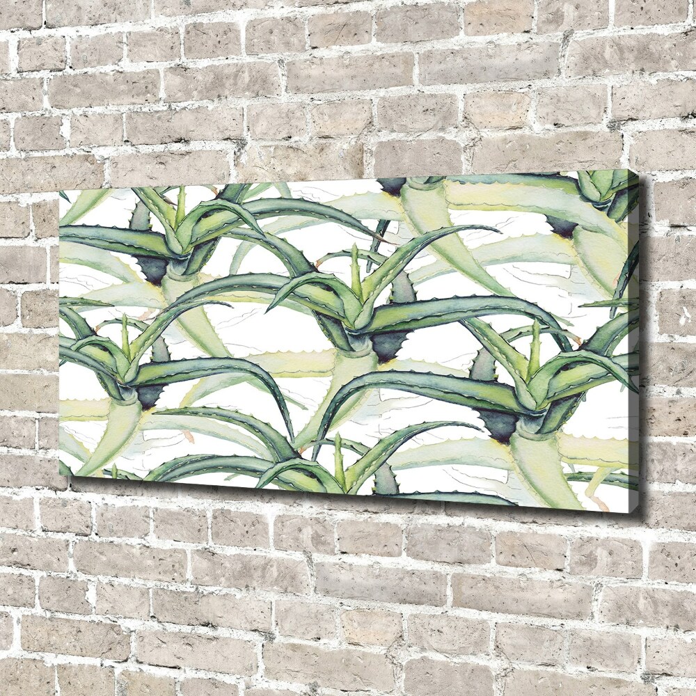 Tableau photo sur toile Aloe vera