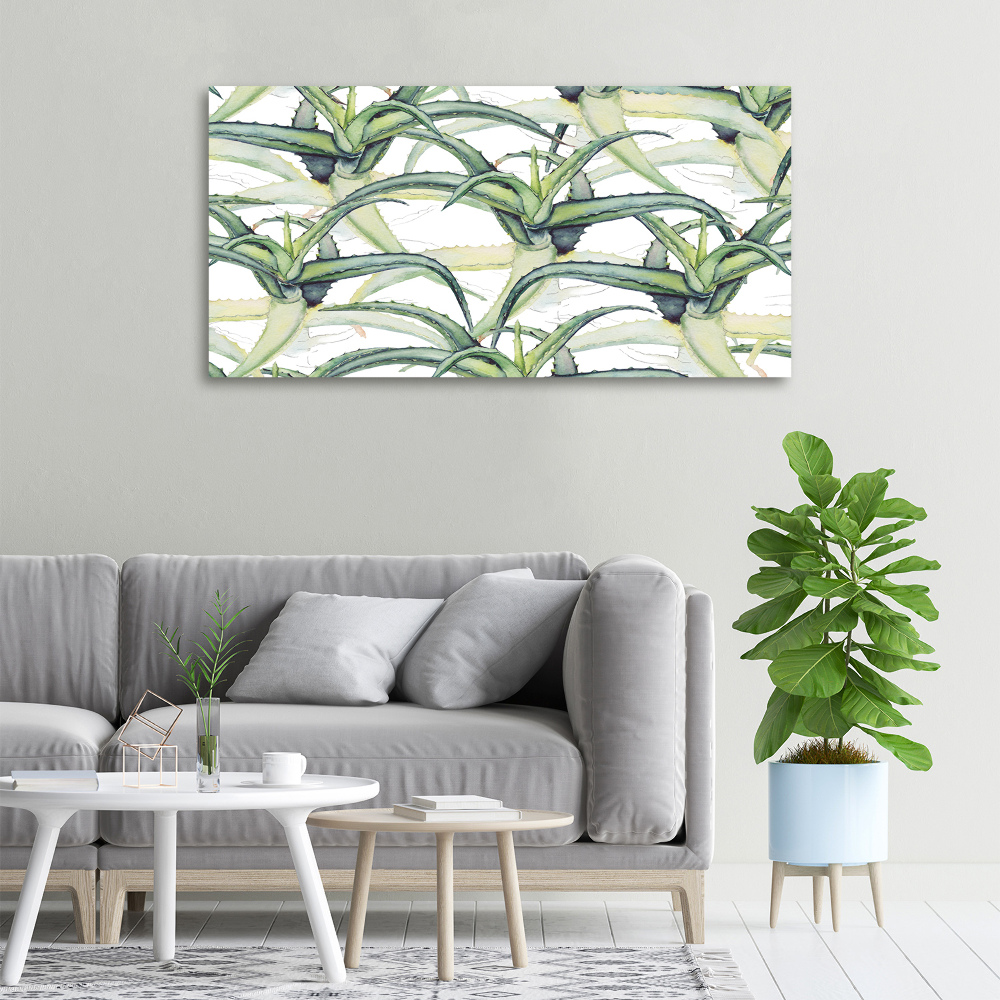 Tableau photo sur toile Aloe vera