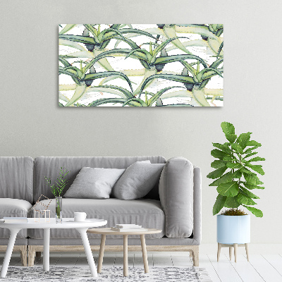 Tableau photo sur toile Aloe vera