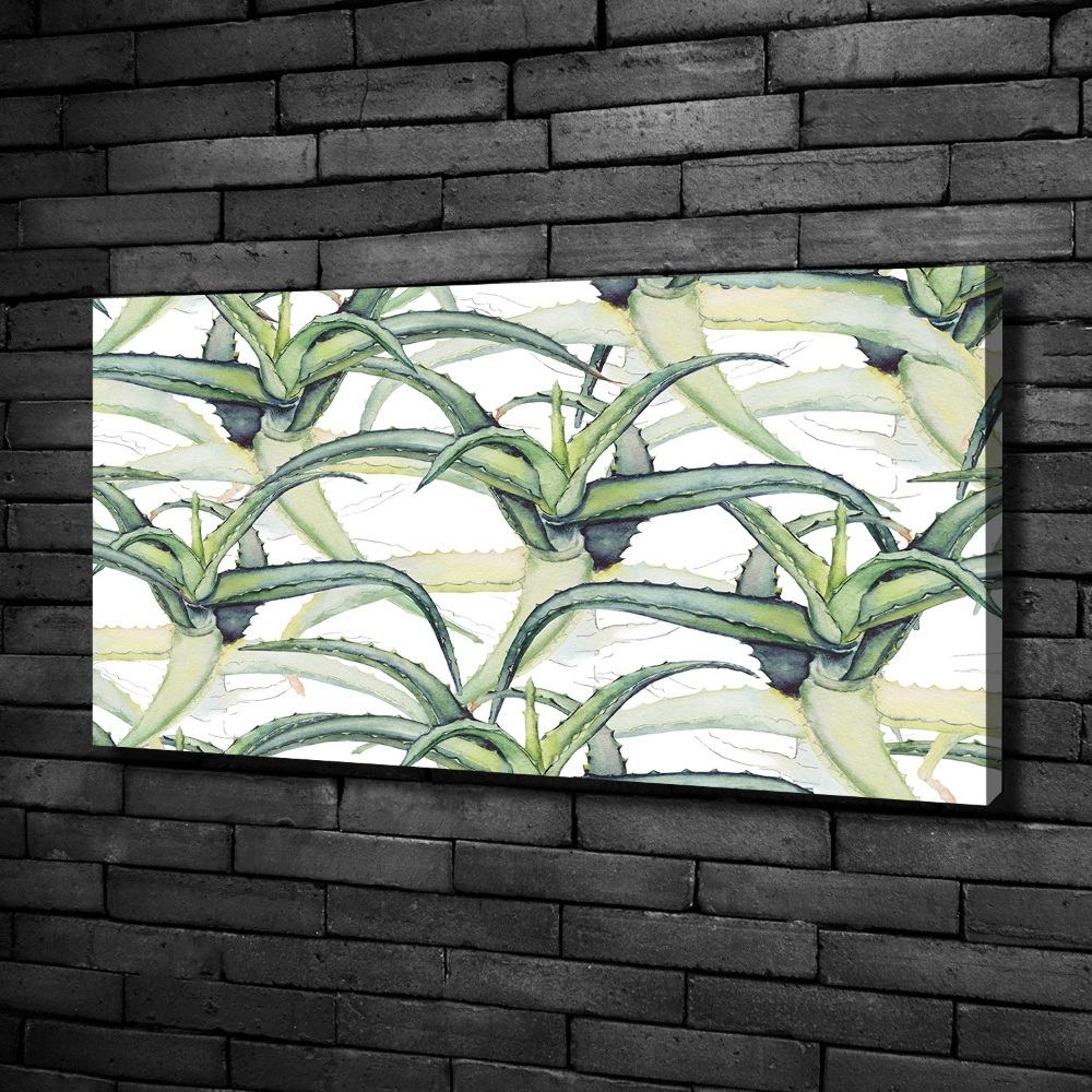 Tableau photo sur toile Aloe vera