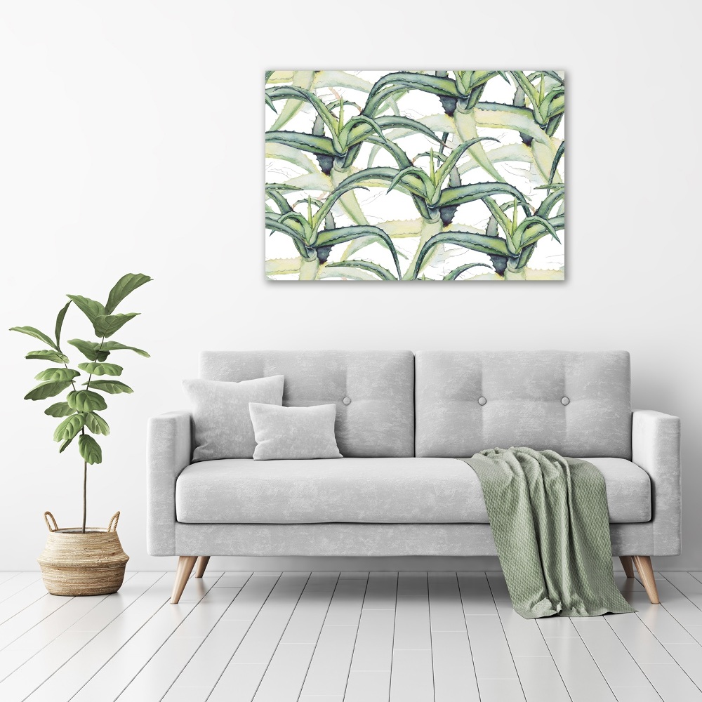 Tableau photo sur toile Aloe vera