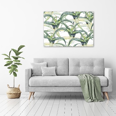 Tableau photo sur toile Aloe vera